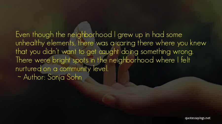 Neighborhood Community Quotes By Sonja Sohn