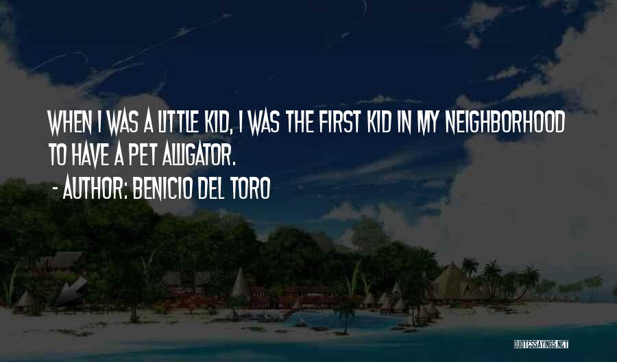 Neighborhood Kids Quotes By Benicio Del Toro