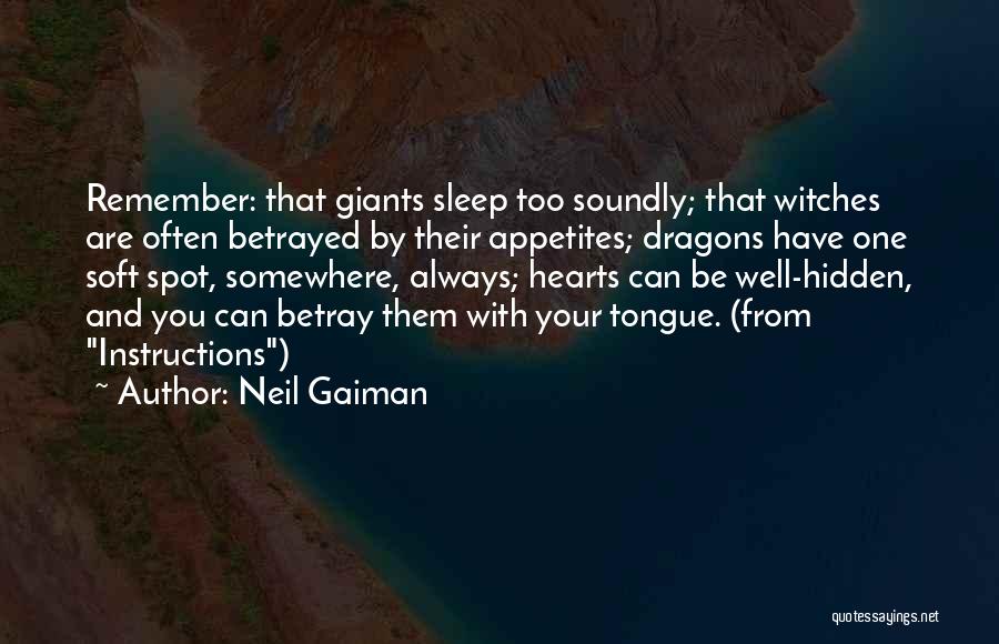 Neil Gaiman Instructions Quotes By Neil Gaiman