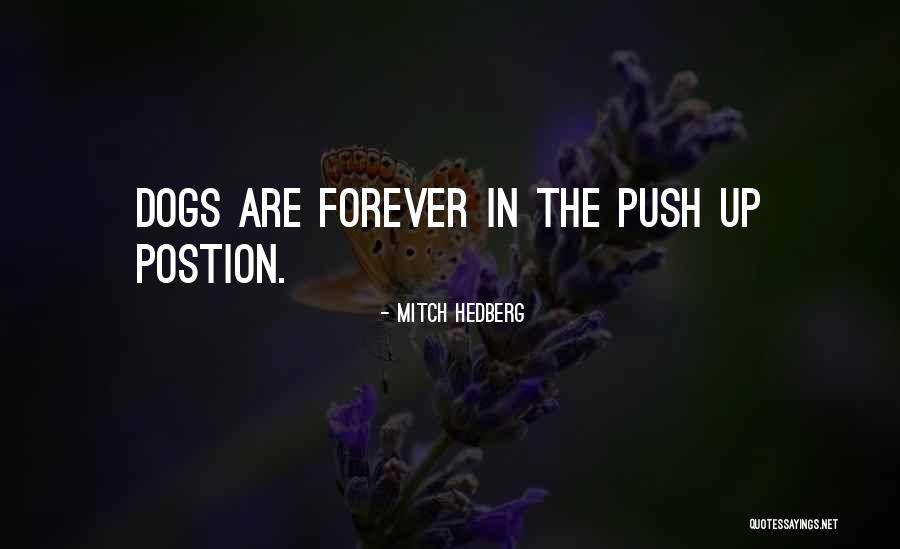 Neil Kellerman Quotes By Mitch Hedberg Neil Kellerman Quotes By Mitch Hedberg