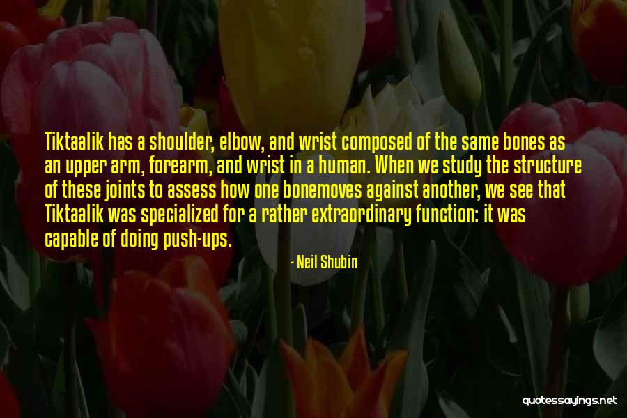 Neil Shubin Quotes 1520803