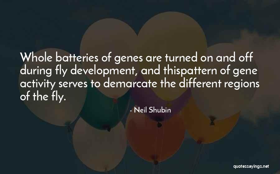 Neil Shubin Quotes 1885222