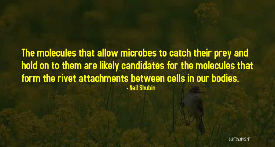 Neil Shubin Quotes 474093 Neil Shubin Quotes 474093