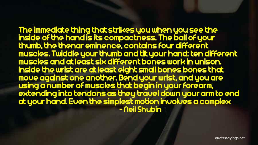 Neil Shubin Quotes 770145