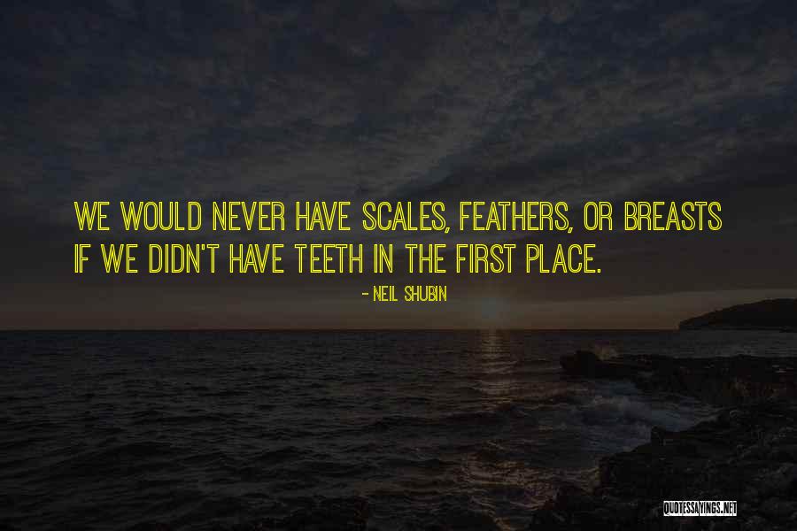 Neil Shubin Quotes 798439 Neil Shubin Quotes 798439