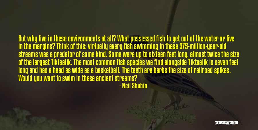 Neil Shubin Quotes 897785 Neil Shubin Quotes 897785