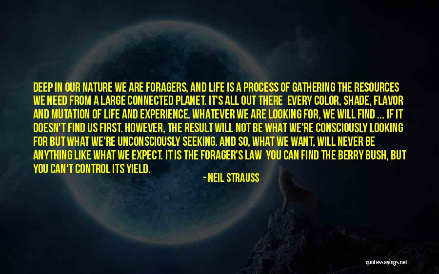 Neil Strauss Quotes 1396590 Neil Strauss Quotes 1396590