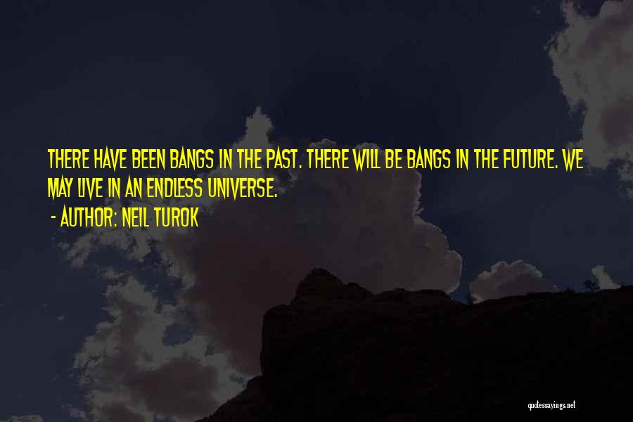 Neil Turok Quotes 2159203
