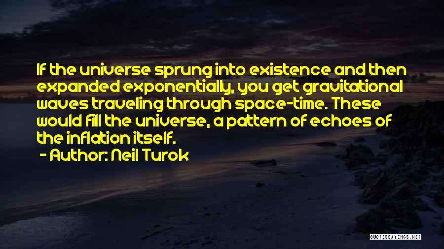 Neil Turok Quotes 2189221