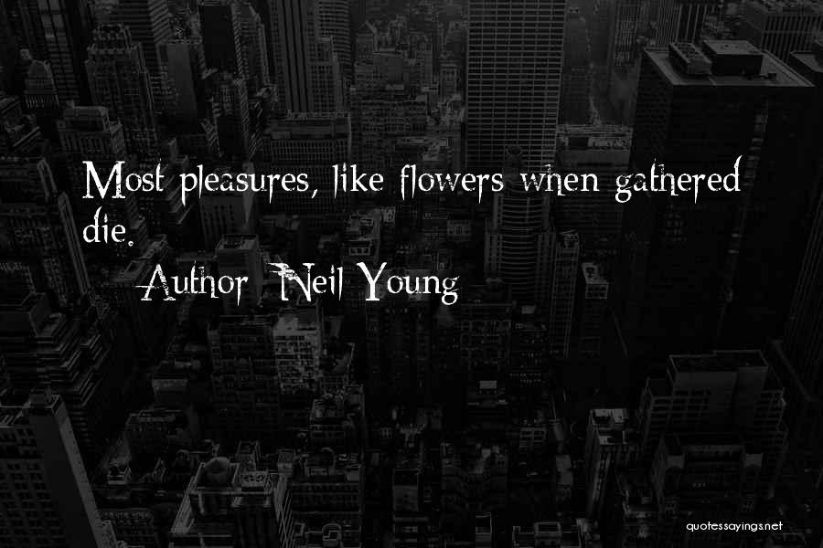 Neil Young Quotes 2242528