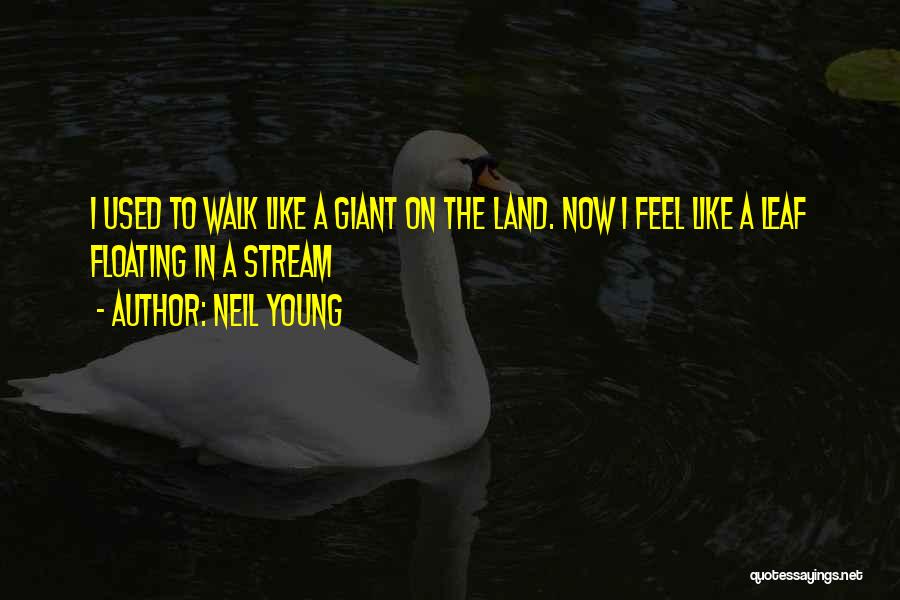 Neil Young Quotes 80241