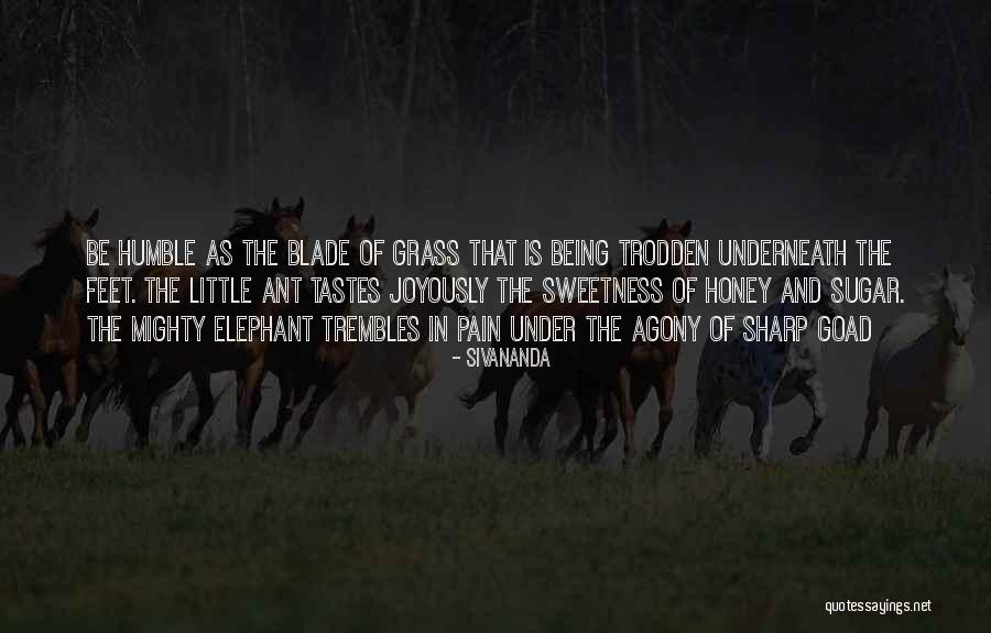 Nekit Quotes By Sivananda Nekit Quotes By Sivananda