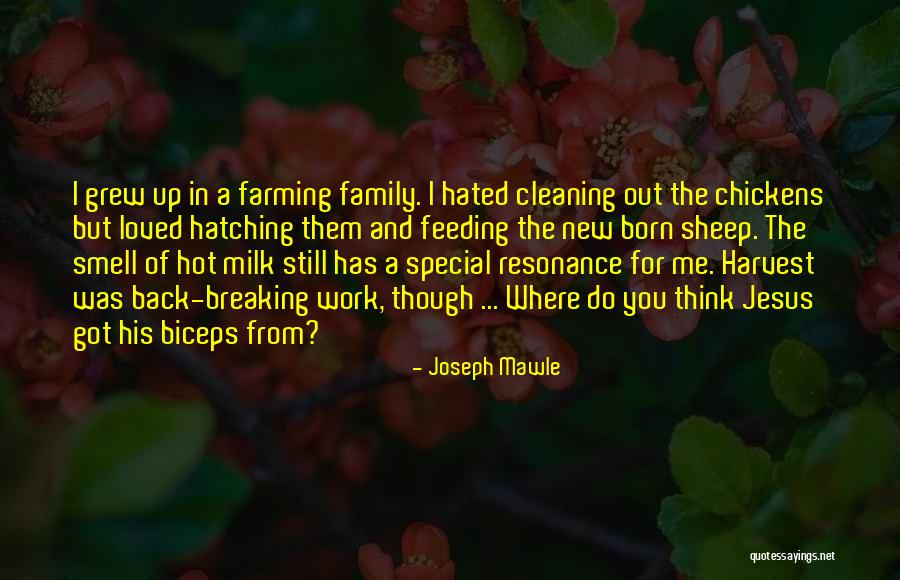 Nekoliko Moldova Quotes By Joseph Mawle Nekoliko Moldova Quotes By Joseph Mawle
