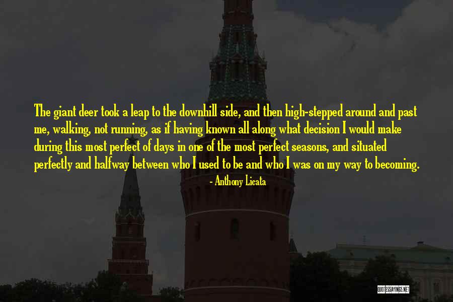 Nekpt Newport Quotes By Anthony Licata Nekpt Newport Quotes By Anthony Licata