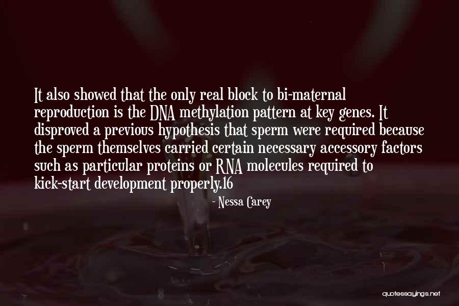 Nekuko Quotes By Nessa Carey Nekuko Quotes By Nessa Carey