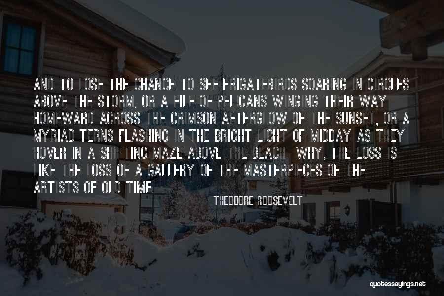 Nel Lusso Huffy Quotes By Theodore Roosevelt Nel Lusso Huffy Quotes By Theodore Roosevelt