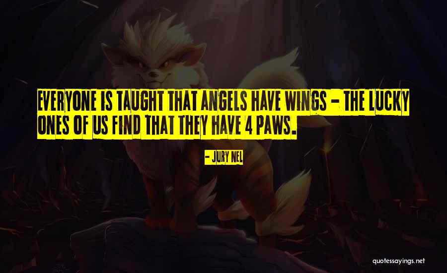 Nel Quotes By Jury Nel Nel Quotes By Jury Nel
