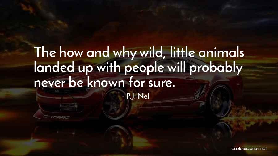 Nel Quotes By P.J. Nel Nel Quotes By P.J. Nel