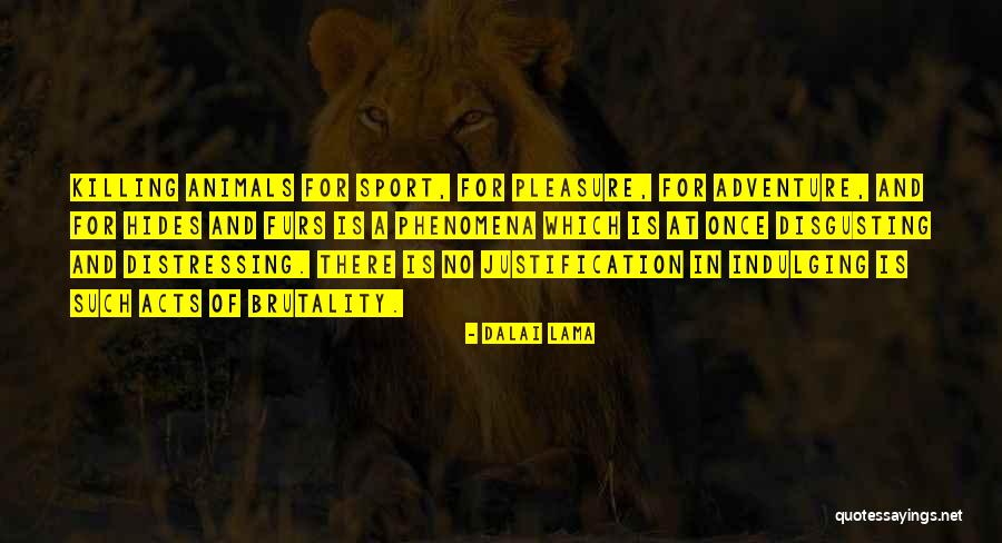 Nelina Cokolada Quotes By Dalai Lama Nelina Cokolada Quotes By Dalai Lama