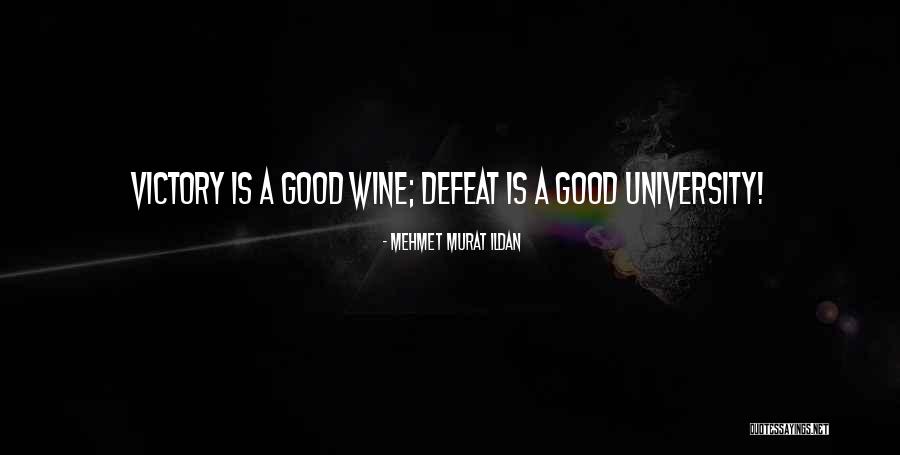 Nelleke Stevenson Quotes By Mehmet Murat Ildan Nelleke Stevenson Quotes By Mehmet Murat Ildan