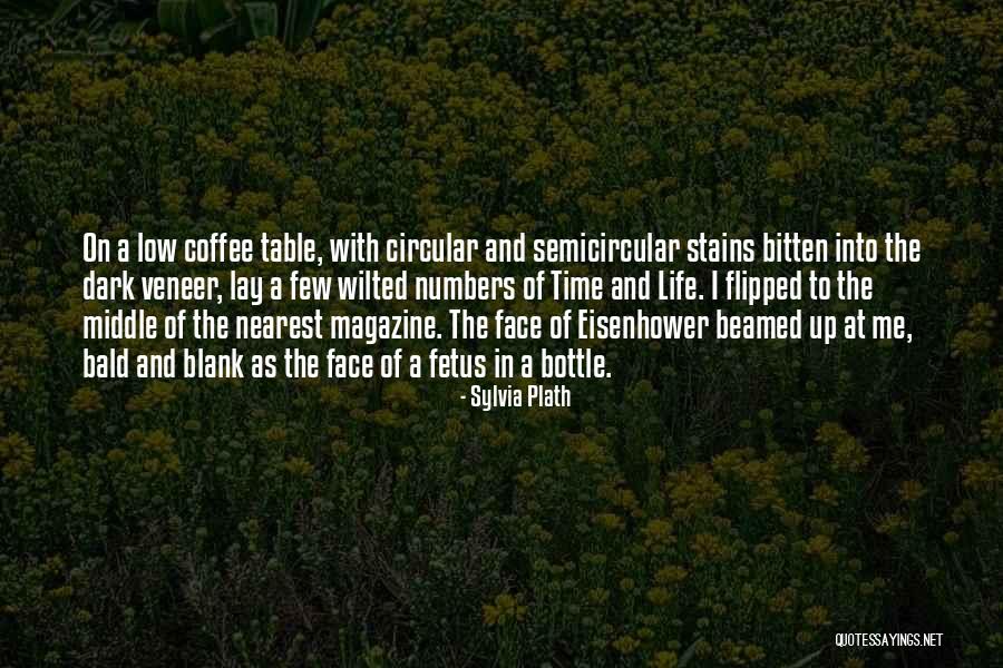 Nelleke Verkaart Quotes By Sylvia Plath Nelleke Verkaart Quotes By Sylvia Plath