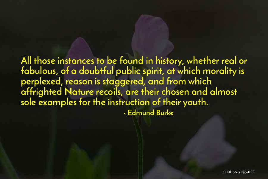 Nellie Veitenheimer Quotes By Edmund Burke Nellie Veitenheimer Quotes By Edmund Burke