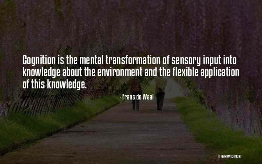 Nelluccia Giammona Quotes By Frans De Waal Nelluccia Giammona Quotes By Frans De Waal
