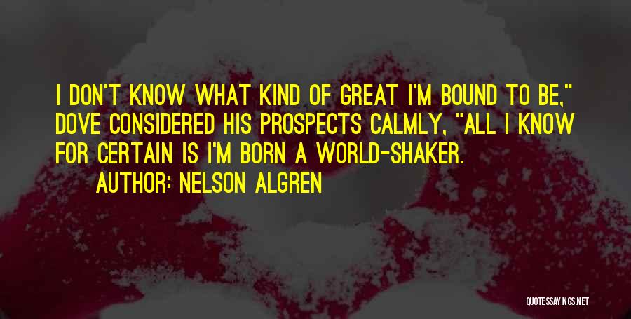 Nelson Algren Quotes 1651796