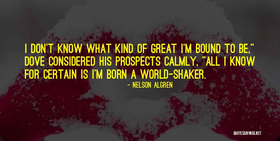 Nelson Algren Quotes 1651796