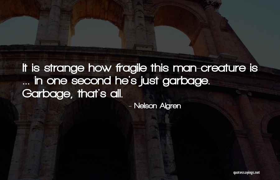 Nelson Algren Quotes 1851347