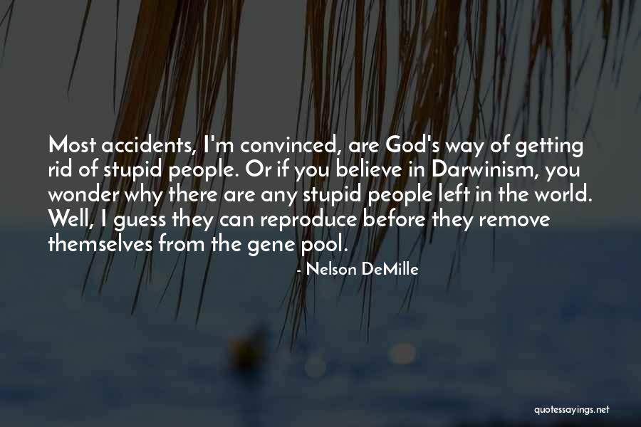 Nelson DeMille Quotes 1165196