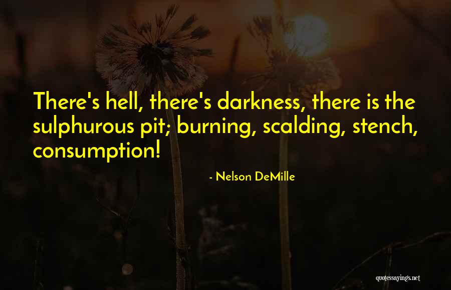 Nelson DeMille Quotes 1519701