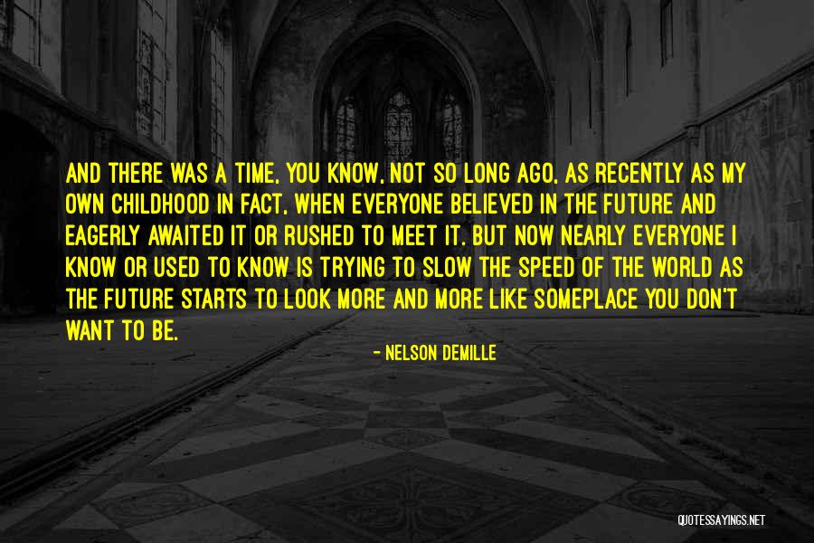 Nelson DeMille Quotes 684681