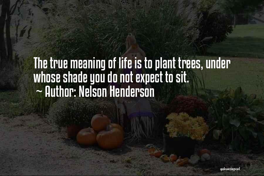 Nelson Henderson Quotes 372440