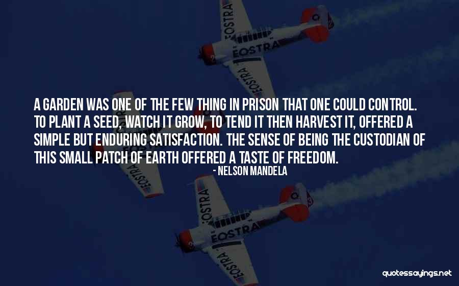 Nelson Mandela Freedom Quotes By Nelson Mandela Nelson Mandela Freedom Quotes By Nelson Mandela