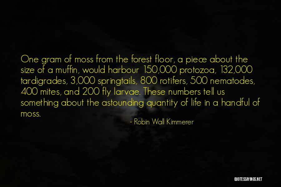 Nematodes Quotes By Robin Wall Kimmerer Nematodes Quotes By Robin Wall Kimmerer