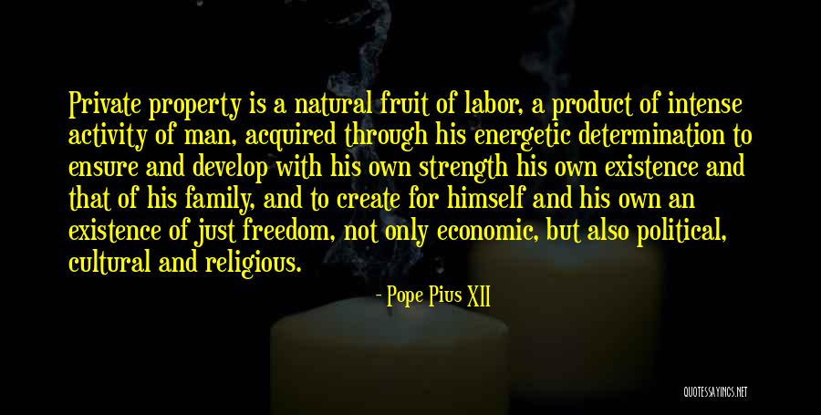 Nemesio Diez Quotes By Pope Pius XII Nemesio Diez Quotes By Pope Pius XII