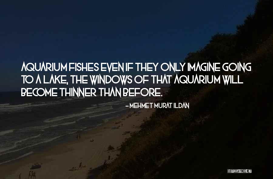Nemira Editura Quotes By Mehmet Murat Ildan Nemira Editura Quotes By Mehmet Murat Ildan