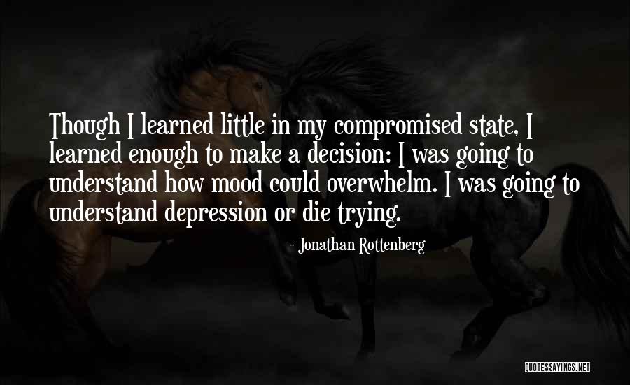 Nemirovsky Suite Quotes By Jonathan Rottenberg Nemirovsky Suite Quotes By Jonathan Rottenberg