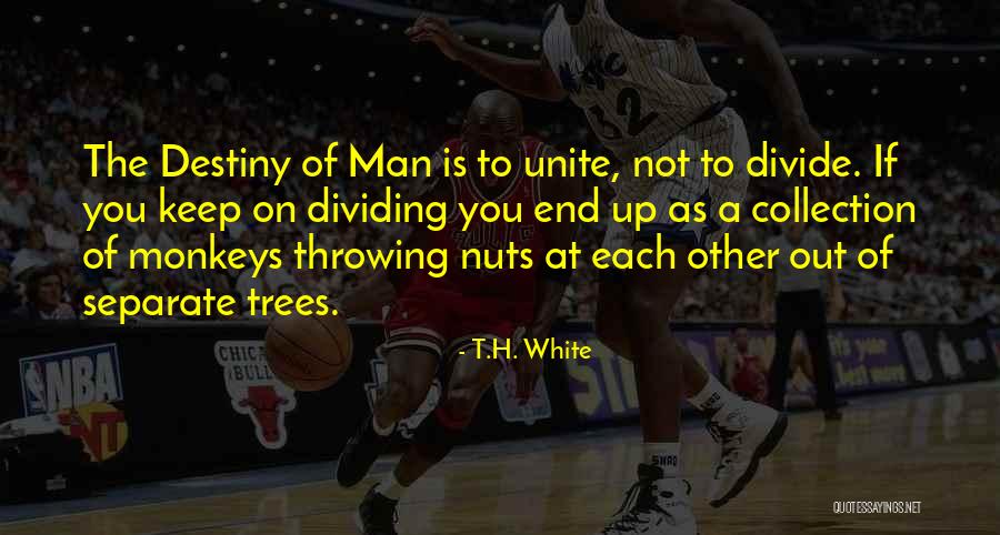 Nemith Ford Quotes By T.H. White Nemith Ford Quotes By T.H. White