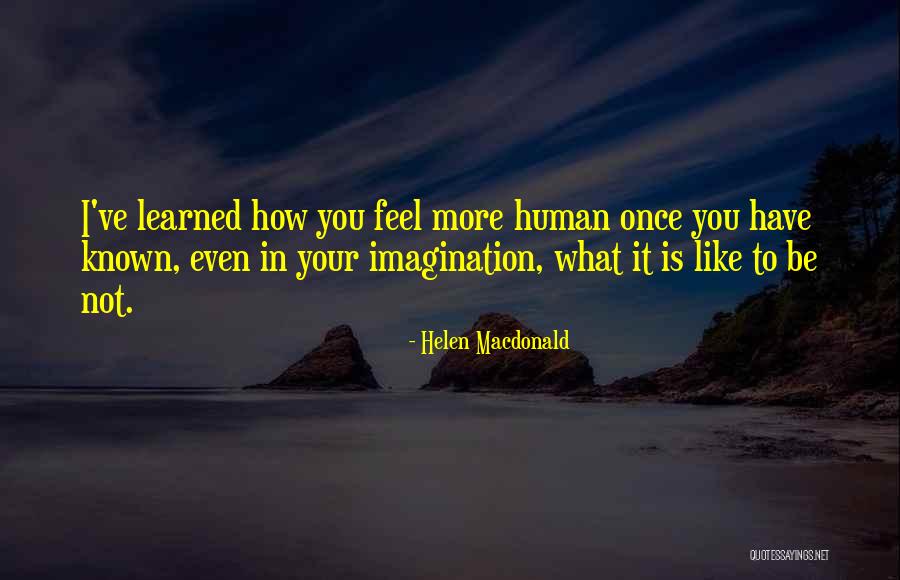 Nemorako Quotes By Helen Macdonald Nemorako Quotes By Helen Macdonald