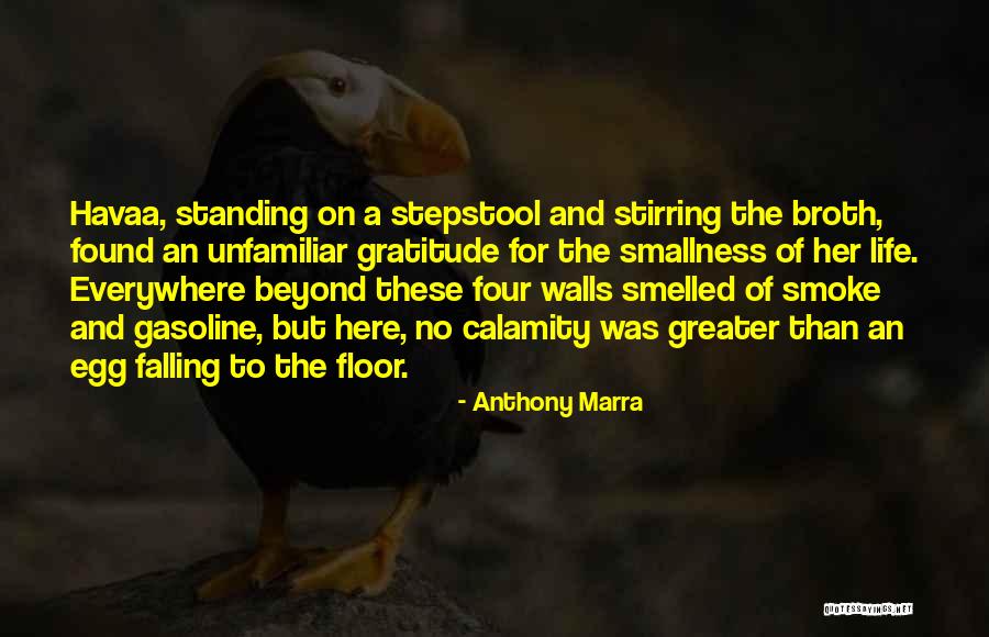 Nems Tools Quotes By Anthony Marra Nems Tools Quotes By Anthony Marra