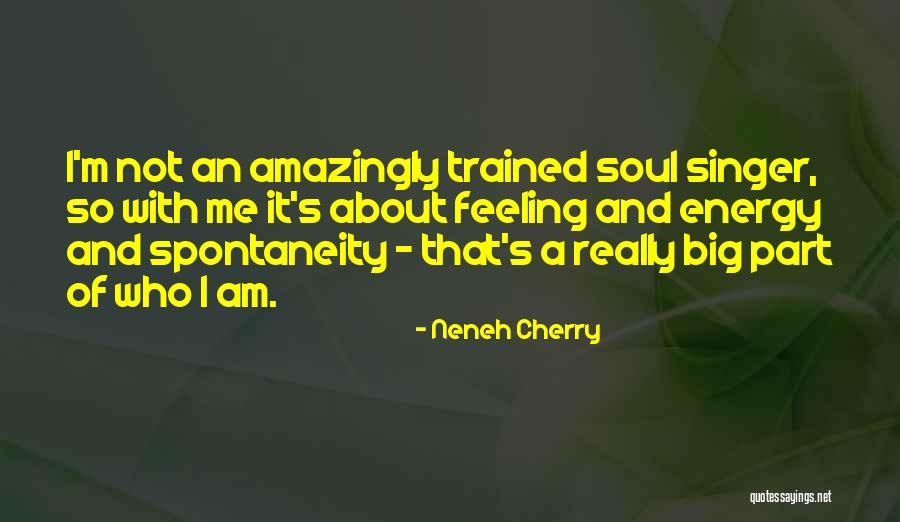 Neneh Cherry Quotes 1310201