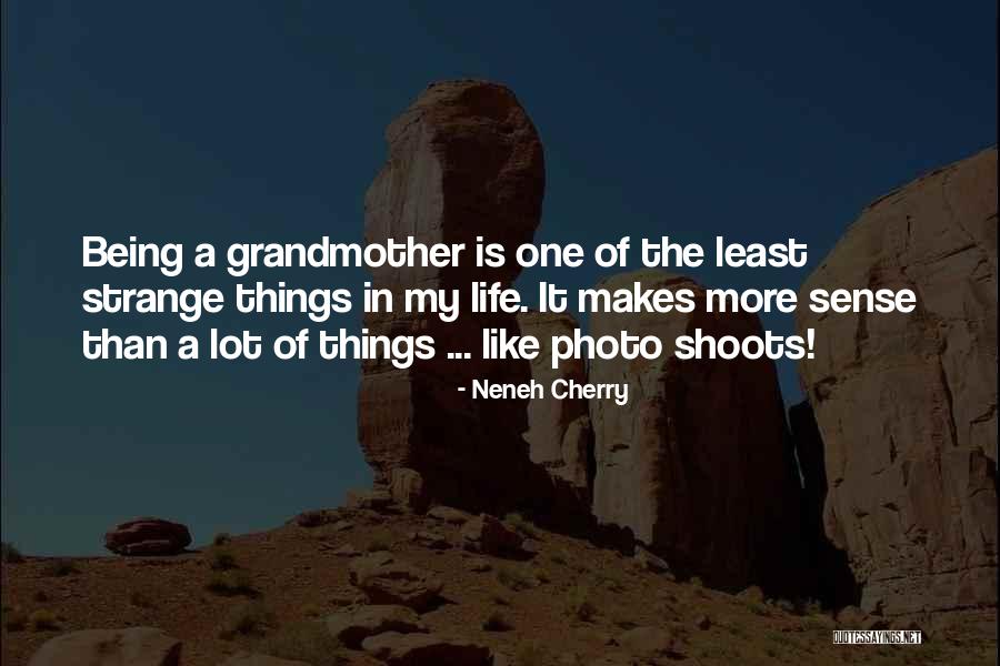 Neneh Cherry Quotes 569086 Neneh Cherry Quotes 569086