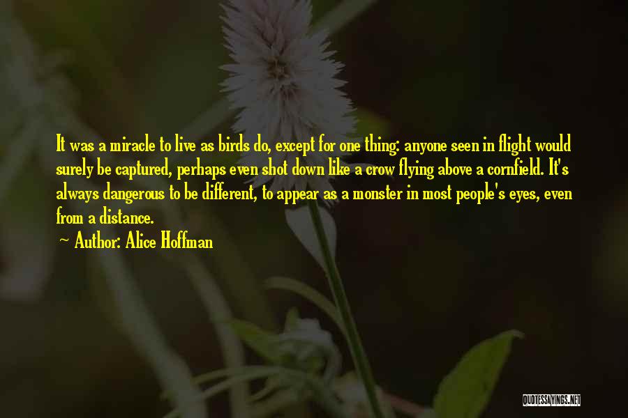 Neo Nazism Quotes By Alice Hoffman