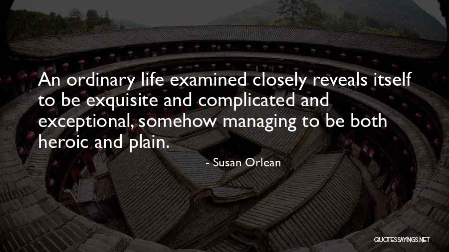 Neocleous Law Quotes By Susan Orlean Neocleous Law Quotes By Susan Orlean