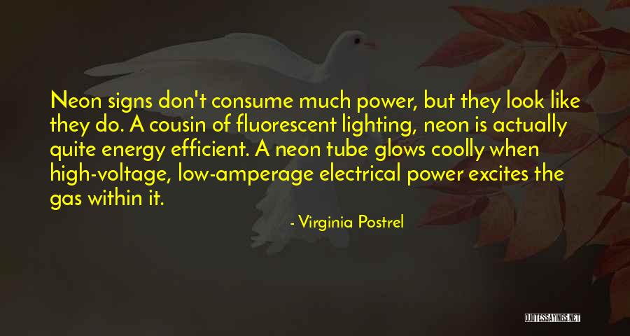 Neon Quotes By Virginia Postrel Neon Quotes By Virginia Postrel