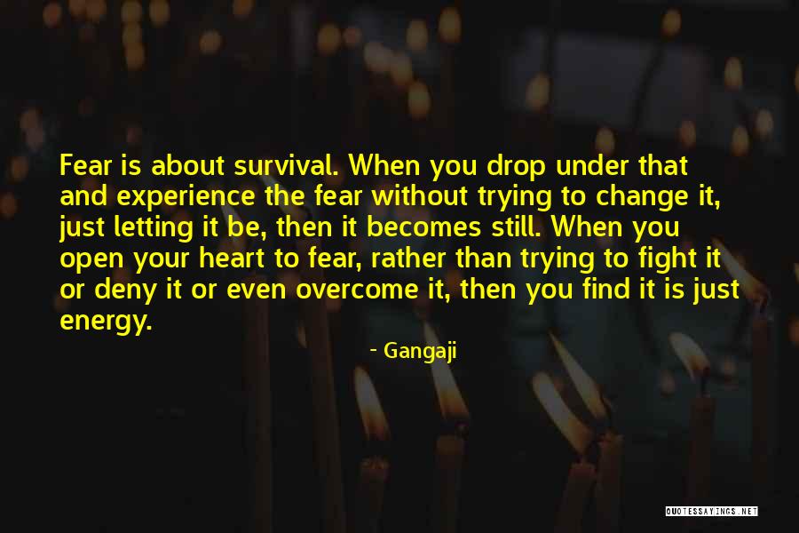 Neophodno Je Quotes By Gangaji Neophodno Je Quotes By Gangaji