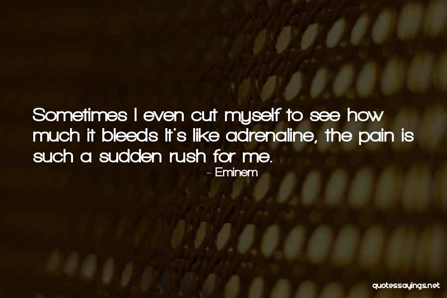 Neoplatonism Beliefs Quotes By Eminem Neoplatonism Beliefs Quotes By Eminem