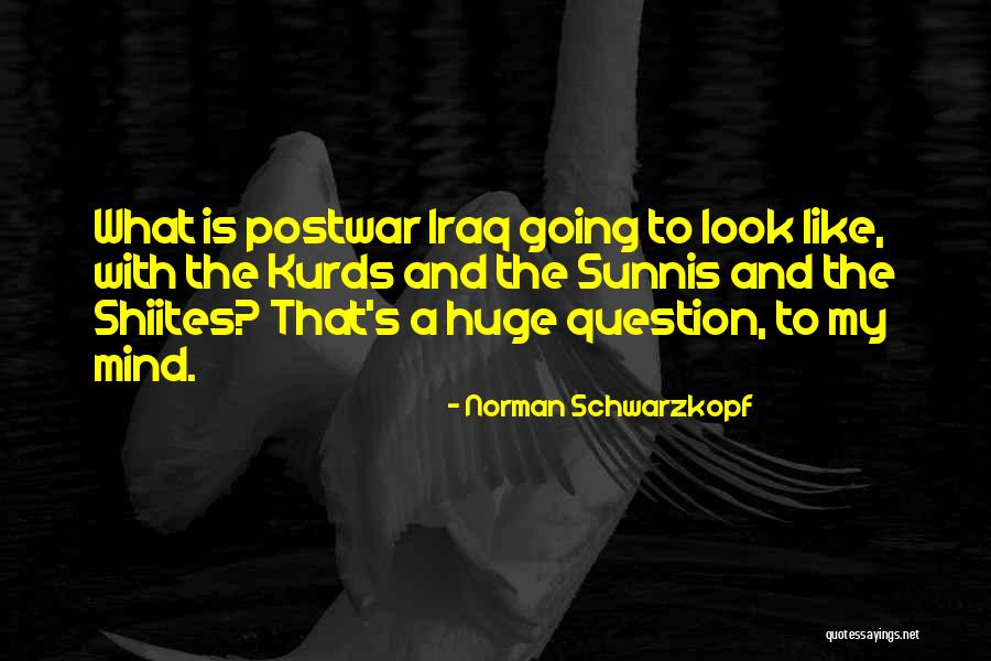 Neoprostivo 1 Quotes By Norman Schwarzkopf Neoprostivo 1 Quotes By Norman Schwarzkopf